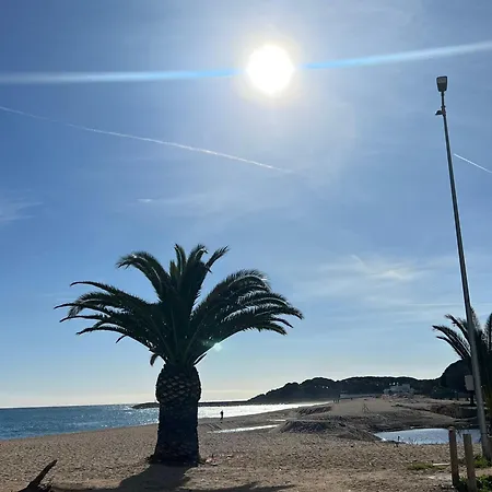 Bravamar Studio, Playa De Aro, Spain Apartamento Platja d'Aro