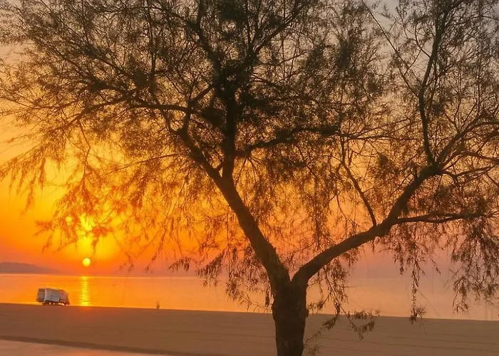 Lejlighed Bravamar Studio, Playa De Aro, Spain *